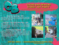 Street Art Party Packages